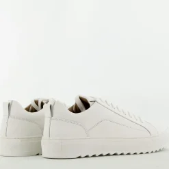 Buffalini sneaker wit