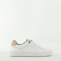 Bullboxer Trend Design...