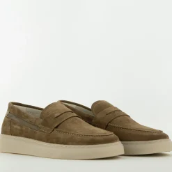 Bullboxer Trend Design...