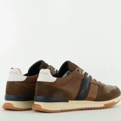 Bullboxer Trend Design...